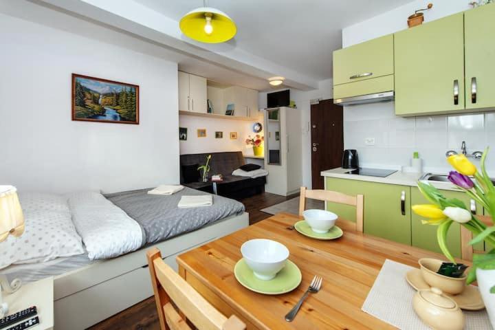 Cosy Studio Apartment Krakow Bagian luar foto
