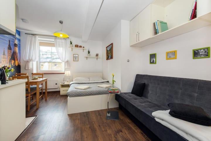 Cosy Studio Apartment Krakow Bagian luar foto