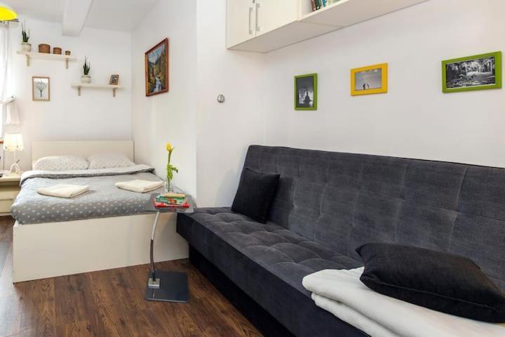 Cosy Studio Apartment Krakow Bagian luar foto